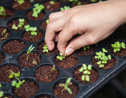 Пожизненная поддержка клиентов